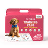 Leaves Pattern Disposable Dog Training Pads – 23x23 Inches - Pack of 100