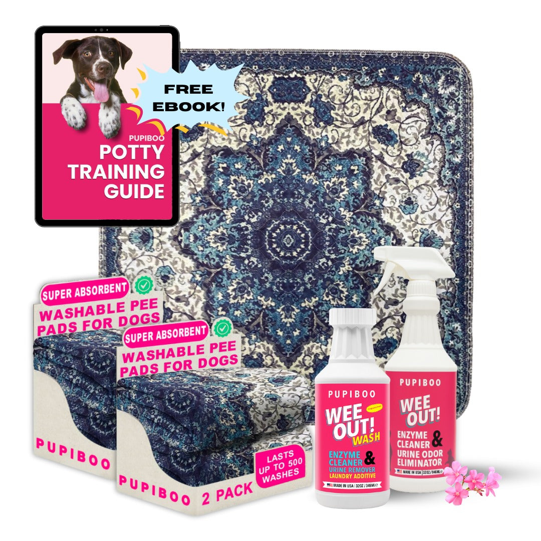 All In One Potty Bundle